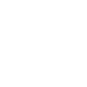 logo Hapinex blanc