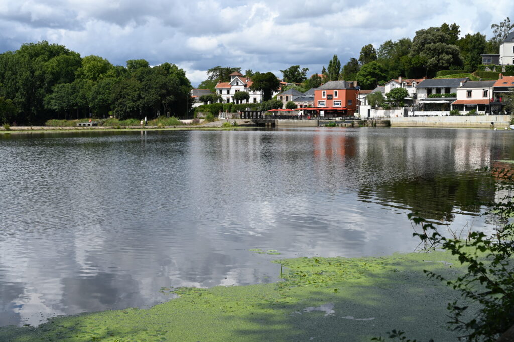 Vue paisible de la Sèvre à Vertou, symbole du dynamisme local et de l’accompagnement de proximité proposé par Hapinex, expert comptable à Vertou.