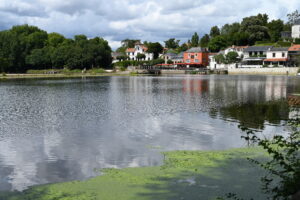 Vue paisible de la Sèvre à Vertou, symbole du dynamisme local et de l’accompagnement de proximité proposé par Hapinex, expert comptable à Vertou.